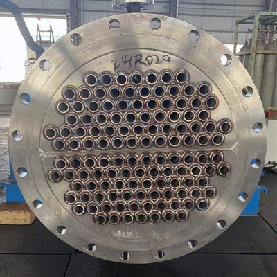 Trocador de calor de feixe de tubos